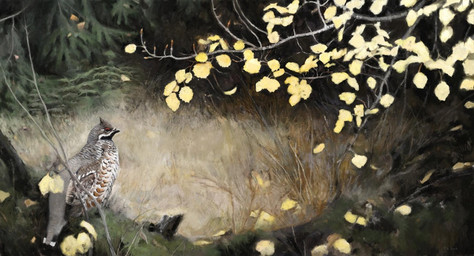 autumn black_markings branch brown_markings feathers feral forest grass grey_body grey_feathers leaf markings multicolored_body multicolored_feathers nature on_ground plant solo tree white_body white_feathers white_markings renum63 avian bird galliform grouse hazel_grouse phasianid 2014