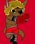 anthro boxing_gloves brown_body brown_fur clothing fighting_pose fur hair handwear looking_at_viewer male pose solo jaythefox333 unnamed_character kangaroo macropod mammal marsupial 4:5 absurd_res hi_res