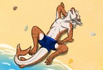 4_fingers 4_toes anthro beach blue_clothing brown_stripes clothing feet fin fingers hair male orange_body red_eyes rock sea shell solo spots stripes swimming_trunks swimwear tail thick_tail toes water white_body white_hair white_spots zalivkustsyganili fish marine shark