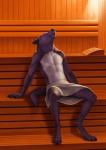 anthro balls barely_visible_balls barely_visible_genitalia biped black_nose detailed_background eyes_closed fingers fur genitals inner_ear_fluff male nipples sauna sitting solo towel towel_only tuft anisis canid canine canis domestic_dog mammal 2017 digital_media_(artwork) hi_res