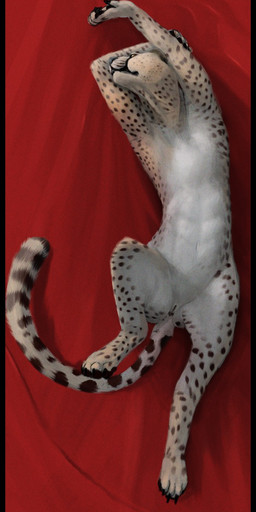 animal_genitalia animal_vulva anus arms_above_head belly claws feline_genitalia feline_vulva female female_feral feral fur genitals looking_at_viewer lying markings nude on_back semi-anthro solo spots spotted_body spotted_fur stretching tail tail_anus toe_claws vulva cosmiclife cheetah felid feline mammal 2016 hi_res