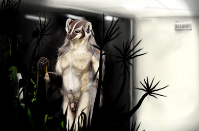 balls computer electronics genitals male night penis plant solo window american_badger badger mammal mustelid musteline hi_res