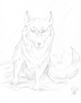 ambiguous_gender feral quadruped raining solo wolfdawg ember_(emberwolfsart) canid canine canis mammal wolf hi_res monochrome sketch