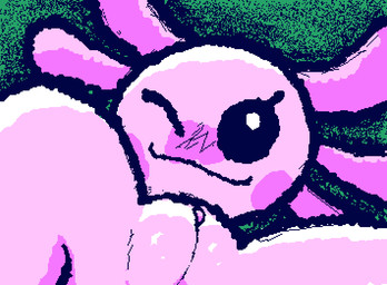 anthro biped black_eyes blush clitoris eyelashes female genitals looking_at_viewer one_eye_closed pink_body presenting presenting_vulva smile solo spread_legs spreading vulva wink winking_at_viewer pincoosh yemms_(yemmsalotl) amphibian aquatic axolotl mole_salamander salamander animated digital_media_(artwork) wigglypaint_(artwork)