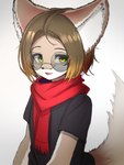 anthro big_ears black_clothing black_topwear brown_body brown_fur brown_hair clothing eyebrows eyewear fur furry_tail gradient_hair green_eyes hair kemono looking_at_viewer male multicolored_body red_scarf scarf shirt short_hair smile solo t-shirt tail topwear lilkon canid canine fennec_fox fox mammal true_fox hi_res