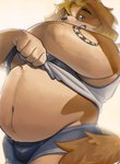 anthro bedroom_eyes belly blonde_hair blush bulge clothing fur grin hair looking_at_viewer male narrowed_eyes navel overweight overweight_anthro overweight_male seductive shirt smile solo tank_top tattoo topwear underwear undressing unatazaamarilla lifewonders live_a_hero hisaki_(live_a_hero) canid canine canis domestic_dog mammal hi_res