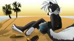 4_toes amputee anthro disability feet foot_focus hindpaw looking_at_viewer male paws plantigrade simple_background solo toes bigbang reallyreallybigbang mammal mephitid skunk 16:9 digital_media_(artwork) hi_res widescreen