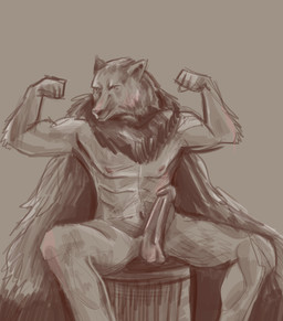 abs anthro biceps cloak clothing erection flexing fur genitals humanoid_genitalia humanoid_penis male navel nipples penis sitting solo blaidd_enjoyer elden_ring fromsoftware blaidd_(elden_ring) absurd_res hi_res