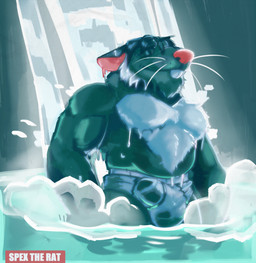 anthro balls_outline barazoku bathing briefs bulge clothing detailed_bulge eyes_closed genital_outline male penis_outline smile solo steam swimming_in_underwear tighty_whities underwear water waterfall wet wet_clothing wet_underwear white_briefs white_clothing white_underwear spectral-bat brok_the_investigator cowcat_games squealers_chief mammal murid murine rat rodent 2025 hi_res