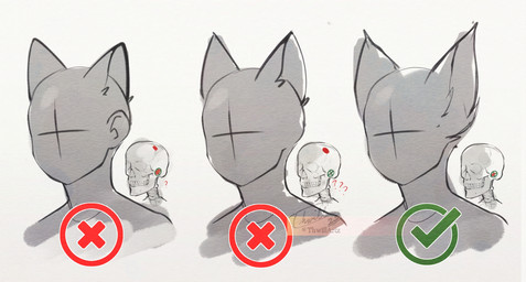 bone fur gesture hand_gesture how-to human_and_animal_ears multi_ear ok_sign simple_background skeleton x_sign thwillartz ambiguous_species mammal 2025 hi_res signature watermark