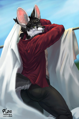anthro big_ears clothed clothing eyewear glasses looking_back male solo washing_clothes pize elwood_shamrock canid canine fennec_fox fox mammal true_fox 2:3 hi_res