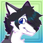 anthro black_hair blinking blue_eyes fur grey_body grey_fur hair inner_ear_fluff male solo tuft white_body white_fur alloplush sleek canid canine canis domestic_dog husky mammal nordic_sled_dog spitz 1:1 animated short_playtime