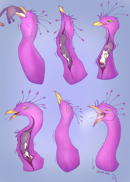 beak biped blue_eyes bodily_fluids countershading drooling esophagus feathered_crest feathers feral feral_pred feral_prey green_eyes head_crest internal larger_pred male male_pred male_prey markings neck_bulge oral_vore paws pink_body purple_body red_markings saliva size_difference tan_body vore gbbgull blitzstoat_(gyro) gyro_feather avian bird galliform mammal mustelid musteline peafowl phasianid stoat true_musteline weasel absurd_res hi_res