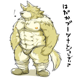 anthro barazoku bulge clothing ellipsis kemono male muscular muscular_anthro muscular_male nipples scar simple_background solo text underwear white_background suishou0602 canid canine mammal 1:1 2015 japanese_text