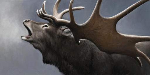 antlers breath_fog brown_body brown_fur feral fur horn huge_antlers male realistic realistic_feral solo renum63 cervine deer mammal megaloceros prehistoric_species 2013 detailed