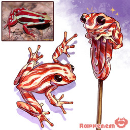 ambiguous_gender beady_eyes blep candy dessert duo feet feral food lollipop membrane_(anatomy) red_stripes simple_background sparkles striped_body stripes toes tongue tongue_out webbed_feet white_body rappenem amphibian food_creature frog living_candy phantasmal_poison_frog poison_dart_frog 1:1 absurd_res digital_media_(artwork) hi_res reference_image