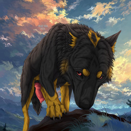 animal_genitalia animal_penis black_body black_fur black_nose canine_genitalia canine_penis cheek_tuft claws cloud erection facial_tuft feral fur genitals glistening glistening_eyes grey_claws knot looking_at_viewer male male_feral mouth_closed neck_tuft outside penis red_eyes red_penis sky solo text tuft yellow_body yellow_fur msdeadsoul canid canine mammal 1:1 2024 artist_name dated hi_res