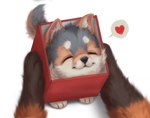 2022 ambiguous_gender big_nug box canid canine canis container daww digital_media_(artwork) digital_painting_(artwork) duo feral fluffy fox fur gift heart_symbol lil_nug mammal multicolored_body multicolored_fur quadruped red_fox silverfox5213 solo_focus text true_fox url watermark wolf