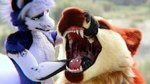 ambiguous_form ambiguous_gender anthro bodily_fluids drooling dunes duo male mouth_shot open_mouth saliva teeth throat tongue uvula vore shinyumbra mythology canid canine canis deer dragon mammal maned_wolf mythological_creature mythological_scalie scalie wolf maple_(disambiguation) 16:9 3d_(artwork) 4k absurd_res digital_media_(artwork) hi_res widescreen