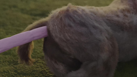 anal anal_penetration animal_genitalia animal_penis backsack balls bouncing_penis breath butt butt_shot consentacles deep_penetration erection faceless_character faceless_male feral feral_penetrated genitals lying male male_penetrated on_side outside penetration penis quadruped realistic_feral sex solo tentacle_in_ass tentacle_penetration tentacle_sex tentacles twitching hiad hyena mammal spotted_hyena 16:9 2019 3d_(artwork) 3d_animation animated digital_media_(artwork) hi_res short_playtime sound video widescreen