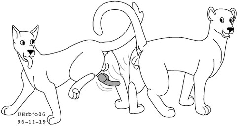 after_anal animal_genitalia animal_penis anus balls canine_genitalia canine_penis dismounting duo erection feral fur genitals interspecies knot male male/male paws penis sheath simple_background size_difference smile tail tongue tongue_out unknotting white_background urbanhermit canid canine felid feline mammal 1996 black_and_white dated monochrome
