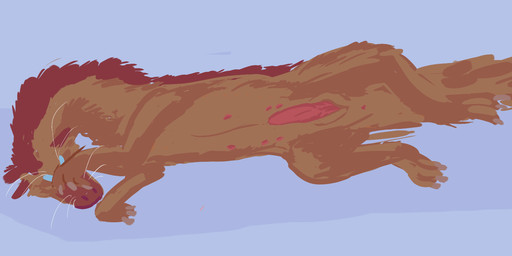 animal_genitalia belly_nipples brown_body brown_fur covering covering_face erection feral fur genitals lying male on_side slit_penis solo spread_legs spreading whiskers bitteraconitum mythology dragon furred_dragon furred_scalie mythological_creature mythological_scalie scalie hi_res