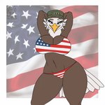 accessory american_flag american_flag_bikini anthro beak bedroom_eyes big_breasts bikini biped black_eyebrows blinking border bottomwear bouncing_breasts breast_jiggle breasts brown_body brown_feathers butt butt_from_the_front camel_toe cleavage clothed clothing curvy_figure dancing eyebrows eyelashes feathers female flag flag_background flag_bikini flag_clothing flag_print flag_swimwear front_view fully_clothed hair half-closed_eyes hands_behind_head hat headband headgear headwear hourglass_figure huge_breasts jiggling looking_at_viewer midriff multicolored_body multicolored_feathers narrowed_eyes navel non-mammal_breasts patrol_cap print_bikini print_clothing print_hat print_headgear print_headwear print_swimwear raised_eyebrow seductive shaking_hips simple_background skimpy small_waist smile smiling_at_viewer smirk solo swimwear tail tail_feathers teal_eyes text text_on_clothing text_on_hat text_on_headwear text_print thick_thighs topwear two-piece_swimsuit two_tone_body two_tone_feathers united_states_of_america white_body white_border white_feathers white_hair white_tail wide_hips yellow_beak tacticalfur rosie_(breegulleagle) accipitrid accipitriform avian bald_eagle bird eagle sea_eagle 1:1 2021 2d_animation animated digital_media_(artwork) flat_colors frame_by_frame hi_res loop short_playtime signature watermark