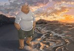 5_toes anthro beach belly bottomwear brown_body brown_fur clothing detailed_background eyes_closed feet flip_flops footwear fur kemono male outside overweight overweight_anthro overweight_male sandals seaside shirt shoes shorts slightly_chubby solo toes topwear water 7gaku_7 bear mammal 2020 hi_res