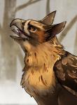 5_fingers ambiguous_gender ambiguous_prey blurred_background bodily_fluids brown_body brown_eyes brown_feathers cold crop_(anatomy) detailed_background drooling duo feathered_wings feathers feet_first female female_focus female_pred feral feral_focus feral_pred feral_prey fingers human_prey larger_female larger_feral open_mouth oral_vore outside pink_tongue plant saliva side_view size_difference smaller_ambiguous smaller_human soft_vore solo_focus swallowing tongue tree vore wings lemondeer mythology nyra_(lemondeer) accipitrid accipitriform avian bird buteo chickenhawk gryphon human mammal mythological_avian mythological_creature red-tailed_hawk 2017 digital_media_(artwork) shaded story story_in_description