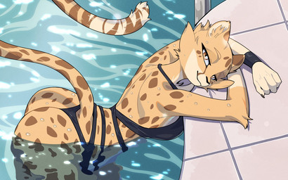 4_fingers anthro big_breasts big_butt bikini bikini_bottom bikini_top biped breasts brown_body brown_fur brown_spots brown_tail butt cheek_tuft chest_tuft claws clothed clothed_anthro clothed_female clothing countershade_fur countershade_torso countershading facial_tuft female finger_claws fingers fur inner_ear_fluff looking_at_viewer markings pool smile solo spots spotted_body spotted_fur spotted_markings spotted_tail swimwear tail tail_markings thick_thighs tuft two-piece_swimsuit water wet wet_body wet_fur wide_hips yellow_eyes nulia akino_(el-k) cheetah felid feline mammal 16:10 2025 digital_media_(artwork) hi_res widescreen