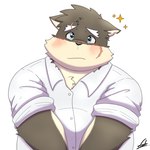 anthro blue_eyes blush chubby_cheeks facial_scar male overweight pleading_eyes scar solo rocky_6261 lifewonders tokyo_afterschool_summoners moritaka_(tas) canid canine canis domestic_dog mammal 1:1 hi_res