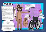 anthro antlers areola blush body_blush breasts brown_body brown_eyes brown_fur brown_hair butt disability female front_view fur gender_transformation genitals hair horn implied_transformation nipples nude pussy pussy_blush simple_background slim small_breasts solo standing tail text transformation vehicle wheelchair frailfennec reese_(frailfennec) deer mammal digital_media_(artwork) english_text hi_res model_sheet reference_image