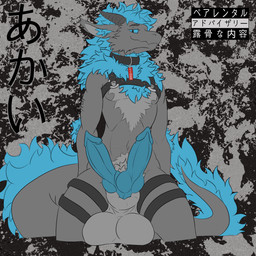 2_penises animal_genitalia animal_penis anthro balls big_balls canine_genitalia canine_penis collar genitals harness hemipenes japanese knot knotted_penis male multi_genitalia multi_penis penis sheath solo text akai_rat mythology canid canine canis dragon hybrid mammal mythological_creature mythological_scalie scalie wolf 1:1 absurd_res english_text hi_res