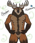 5_fingers abs anthro antlers body_hair chest_hair eyebrows featureless_crotch fingers hands_on_hips happy_trail horn inner_ear_fluff looking_at_viewer male muscular muscular_male navel orange_eyes pubes raised_eyebrow solo standing tuft xanderg_(artist) brisben cervine deer mammal red_deer 4:5 hi_res