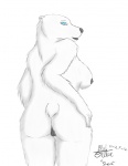 2012 back back_turned bear black_nipples black_nose breasts butt chubby cyan_eyes female fur looking_at_viewer looking_back nipples nude plain_background polar_bear pussy solo standing white_background white_fur
Rating: Explicit
Score: 4
User: aquaotter
Date: March 13, 2013