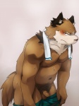 anthro balls biceps blue_eyes blush bodily_fluids bottomwear brown_body brown_fur canid canine clothed clothing flaccid foreskin fur genitals humanoid_genitalia humanoid_penis long_foreskin looking_at_viewer male mammal muscular muscular_anthro muscular_male ni_ki nikiciy nipples pecs penis pubes raccoon_dog shorts simple_background slightly_chubby solo sweat tanuki topless towel towel_around_neck undressing unretracted_foreskin white_background