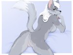 anthro breasts butt female fur genitals grey_body grey_fur hair looking_at_viewer looking_back lying nude on_front pussy raised_tail solo tail white_hair bulochka mokaru canid canine canis mammal wolf 2022 4:3 digital_media_(artwork) hi_res shaded