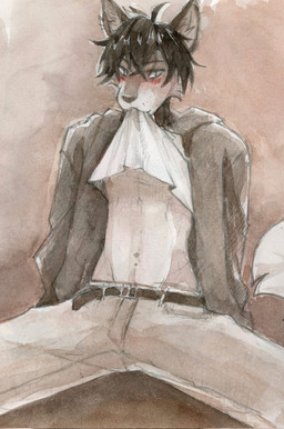 anthro black_hair blush bottomwear cheek_tuft clothed clothing clothing_lift facial_tuft front_view fur grey_body grey_bottomwear grey_clothing grey_fur grey_pants grey_topwear hair looking_at_viewer male messy_hair midriff pants shirt shirt_lift short_hair simple_background sitting solo spread_legs spreading topwear tuft unsigned white_body white_clothing white_fur white_topwear akatan_art canid mammal hi_res traditional_media_(artwork)