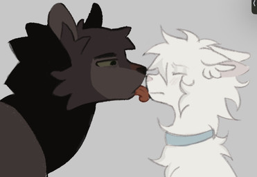 ambiguous_gender brown_body brown_fur duo feral fur grey_background licking licking_another simple_background tongue tongue_out white_body white_fur littleperrito warriors_(book_series) bearheart_(littleperrito) fan_character sealfluff_(littleperrito) domestic_cat felid feline felis mammal 2025 hi_res