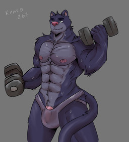 5_fingers anthro barazoku blue_eyes bodily_fluids clothing dumbbell exercise fingers fur grey_body grey_fur gym jockstrap male multicolored_body multicolored_fur muscular muscular_anthro muscular_male nipples solo sweat two_tone_body two_tone_fur underwear weightlifting weights wet wet_body workout kento267 felid feline felis mammal pantherine absurd_res hi_res