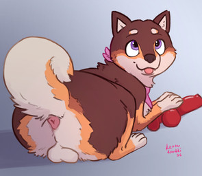 animal_dildo animal_sex_toy anus balls blep brown_body brown_fur butt canine_dildo clothed clothed_feral clothing curled_tail dildo feral fur genitals kerchief looking_back looking_up lying male male_feral neckerchief neckwear on_front on_ground pink_anus presenting presenting_hindquarters purple_eyes raised_tail rear_view sex_toy simple_background solo tail tongue tongue_out white_body white_fur yellow_body yellow_fur kettukarkki unnamed_character_(kettukarkki) canid canine canis domestic_dog mammal shiba_inu spitz absurd_res hi_res