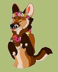 anthro black_nose blep brown_body brown_eyebrows brown_fur cheek_tuft circle_eyebrows eyebrows eyes_closed facial_tuft fangs flower flower_crown fluffy_chest fur green_background handpaw hibiscus lei male male_anthro nude outline paws pink_tongue plant plumeria simple_background smile snout solo tail tan_body tan_fur teeth tongue tongue_out tropical tuft whisker_spots white_outline maligaytor akamai_(maligaytor) canid canine canis hybrid jackal mammal maned_wolf 2018 4:5 absurd_res digital_drawing_(artwork) digital_media_(artwork) flat_colors half-length_portrait hi_res paint_tool_sai_(artwork) portrait