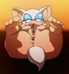 2013 anus bat bed breasts female gaping gaping_pussy inviting ken17 mammal nude open_mouth presenting presenting_pussy pussy rouge_the_bat sega solo sonic_(series) spread_legs spreading
Rating: Explicit
Score: 13
User: misspriss
Date: October 16, 2013