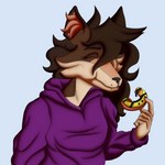 anthro brown_hair clothing crumbs dessert doughnut eating eating_donut eating_food female food hair happy holding_food holding_object hoodie pastry solo topwear infiniteshades antonia_(andygtire) canid canine canis mammal wolf 1:1 absurd_res hi_res