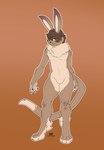 anthro fluffy_chest neck_tuft solo tail tuft johnfreak domestic_cat felid feline felis hybrid lagomorph leporid mammal rabbit absurd_res hi_res