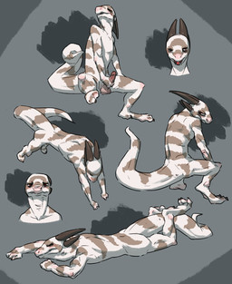 balls erection genitals grumpy holding_penis horn humanoid_genitalia humanoid_penis lying male nude penis solo stripes tail thick_tail tongue flookz flookz_(character) scalie hi_res