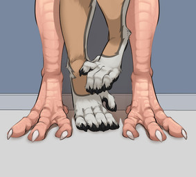 ambiguous_gender anthro black_claws black_pawpads claws digitigrade duo feet foot_focus fur one_foot_raised patterned_fur pawpads paws plantigrade prehensile_feet simple_background standing tan_body tan_fur toes white_body white_claws white_fur edwino22 pablolemurr avian bird chicken galliform lemur mammal phasianid polish_chicken primate ring-tailed_lemur strepsirrhine hi_res shaded