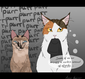 animal_noises anthro black_bars clothing domestic_pet duo eye_roll feral footwear grey_background happy humor inner_ear_fluff inner_monologue legwear looking_at_viewer mouth_hold purring repeated_text shaking simple_background socks text text_background thinking thought_bubble tuft whiskers ascar_angainor domestic_cat felid feline felis mammal norwegian_forest_cat thai_cat absurd_res digital_media_(artwork) english_text half-length_portrait hi_res letterbox portrait