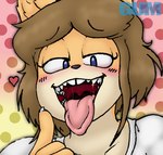 ambiguous_gender anthro blue_eyes blush bodily_fluids brown_hair eyebrow_through_hair eyebrows eyelashes fur hair heart_symbol looking_at_viewer mouth_shot narrowed_eyes open_mouth open_smile saliva saliva_string smile solo tan_body tan_fur text tongue tongue_out translucent translucent_hair uvula gum-k june_(jinu) canid canine canis domestic_dog mammal shiba_inu spitz artist_name digital_drawing_(artwork) digital_media_(artwork) english_description female_(lore)
