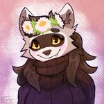 anthro blush clothing eyebrows female fur grey_body grey_fur grey_inner_ear_fluff hair inner_ear_fluff solo sweater topwear tuft turtleneck yellow_sclera kooriki dutchy_(dutchslimey) mammal procyonid raccoon 1:1 artist_name bust_portrait digital_media_(artwork) hi_res icon portrait shaded